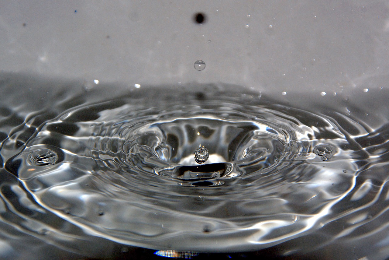 how to clean a dishwasher